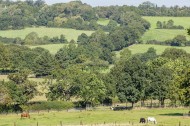 Images for Rosary Manor, The Ridgeway, Mill Hill Village