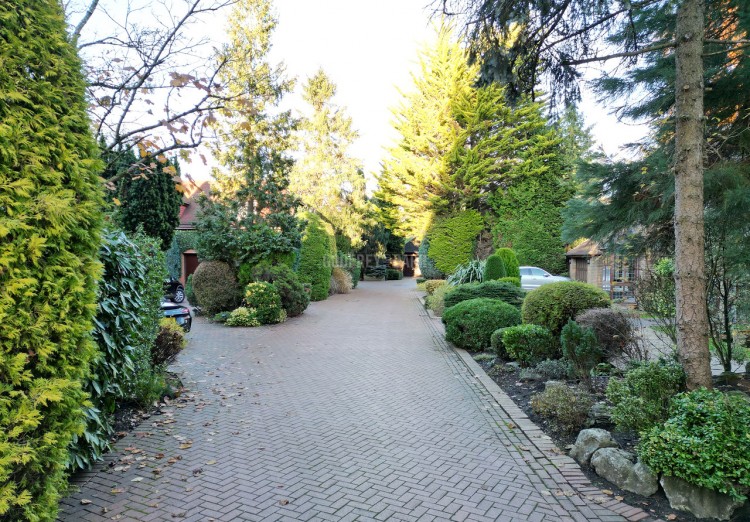 View Full Details for Maytrees, Radlett