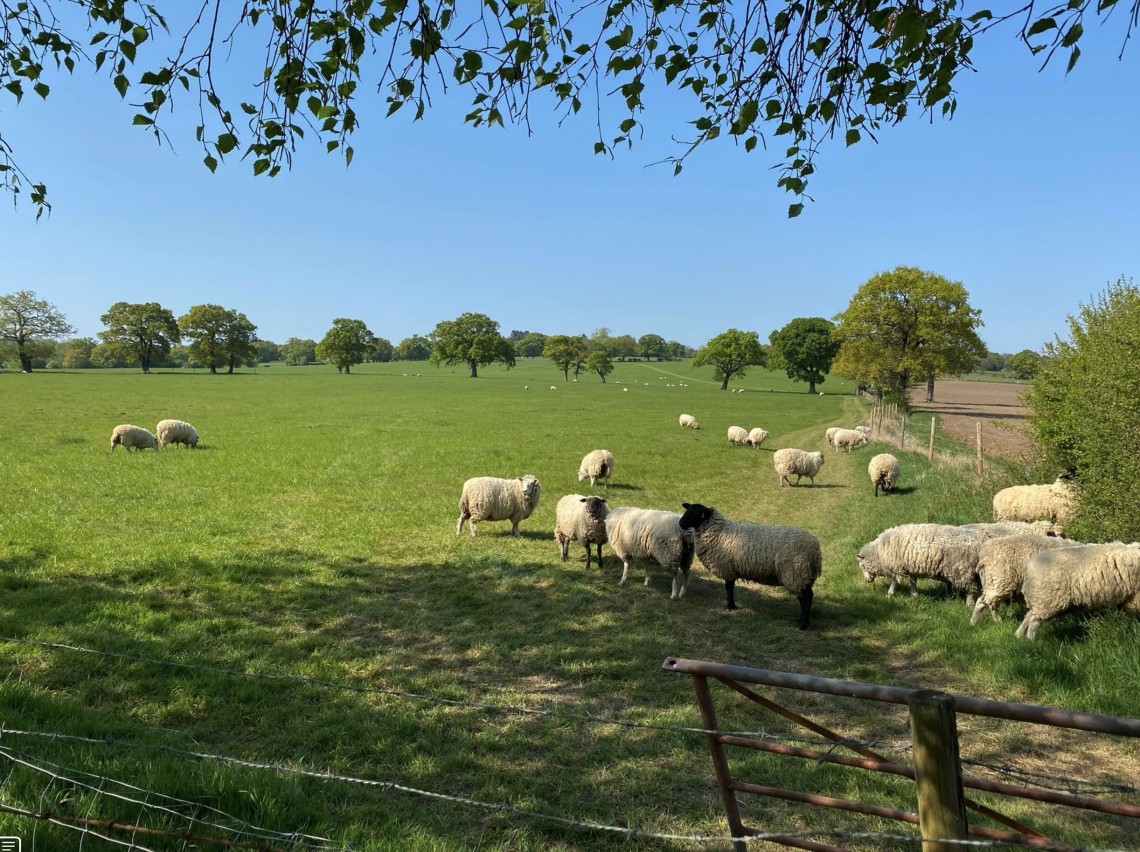 Images for Burtonhole Lane, Mill Hill Village