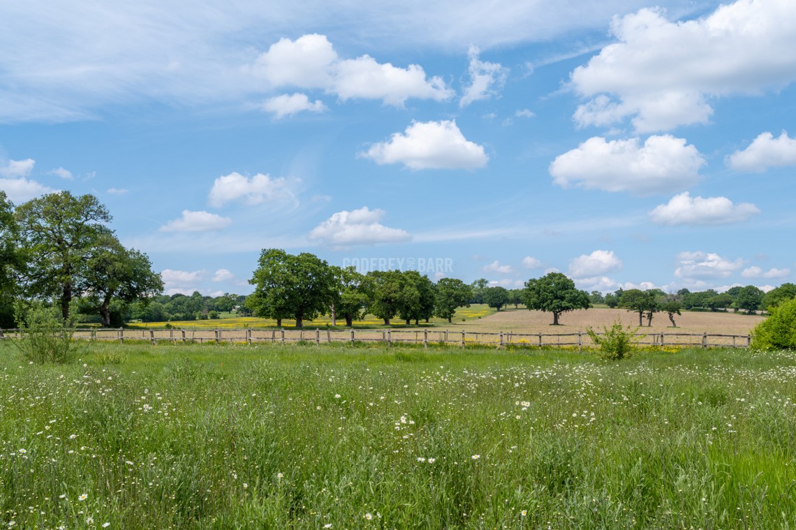 Images for Burtonhole Lane, Mill Hill Village