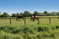 Images for Bridle Close, Shenley Borders