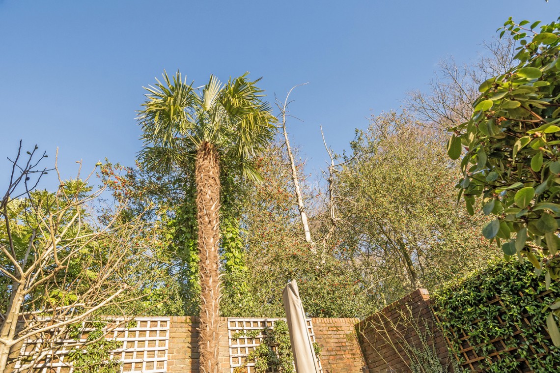 Images for Vineries Bank, Mill Hill